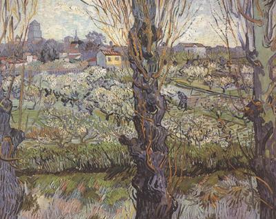 Vincent Van Gogh Orchard in Blossom with View of Arles (nn04) Germany oil painting art